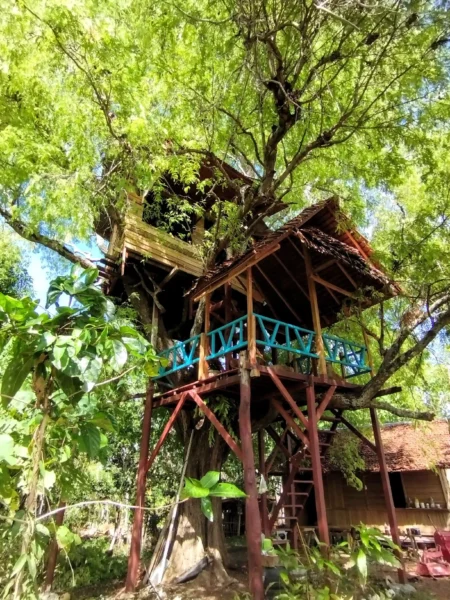 treehouse at six degrees eco lodge sulawesi indonesia